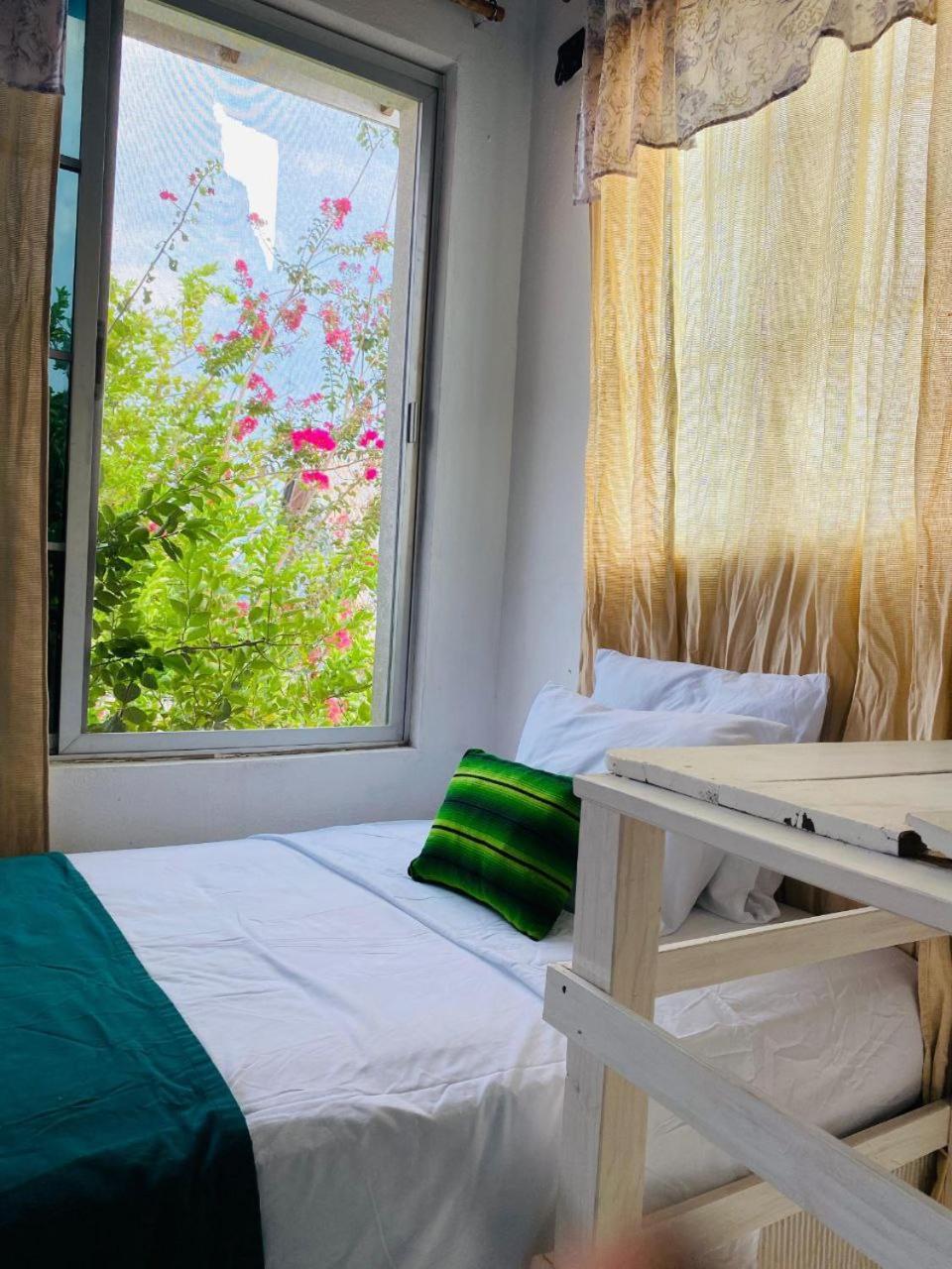 Casa Mima Hotel Flores Luaran gambar