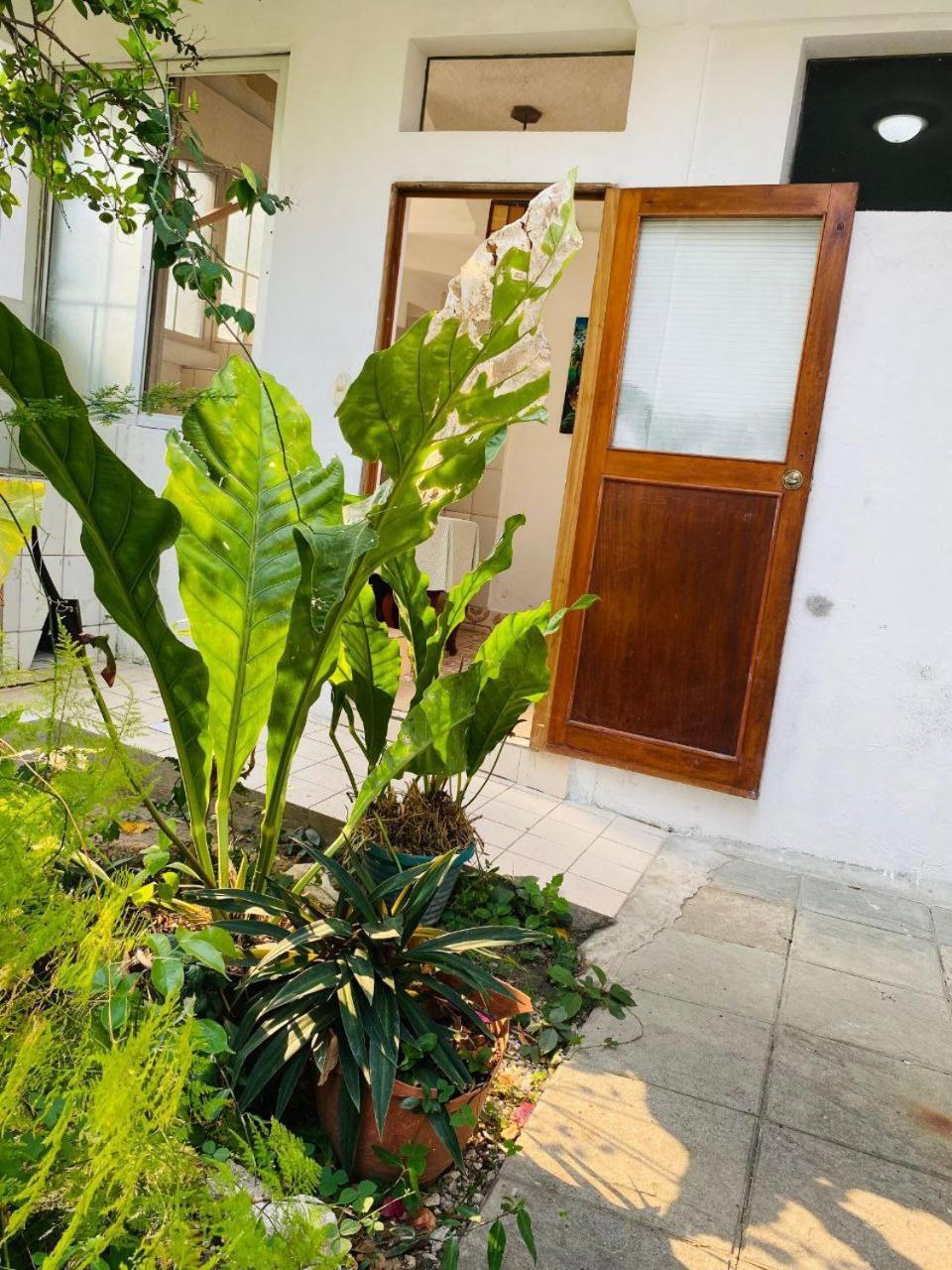 Casa Mima Hotel Flores Luaran gambar